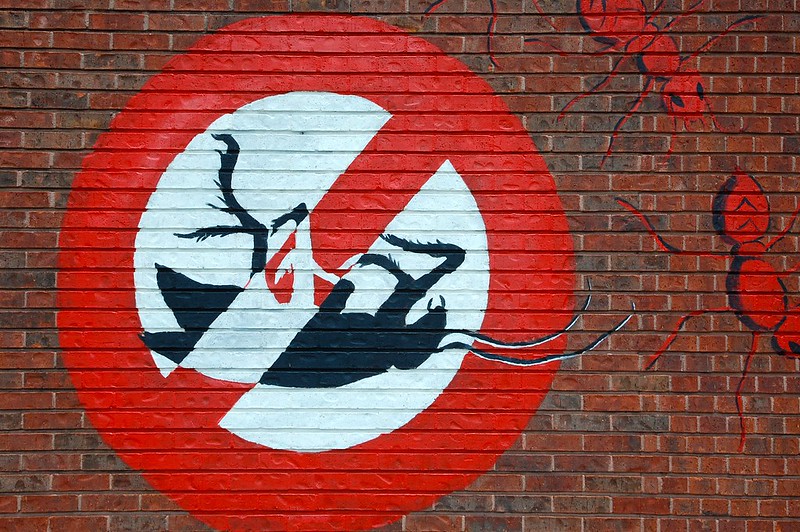 gold coast termite control